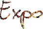 Exposities